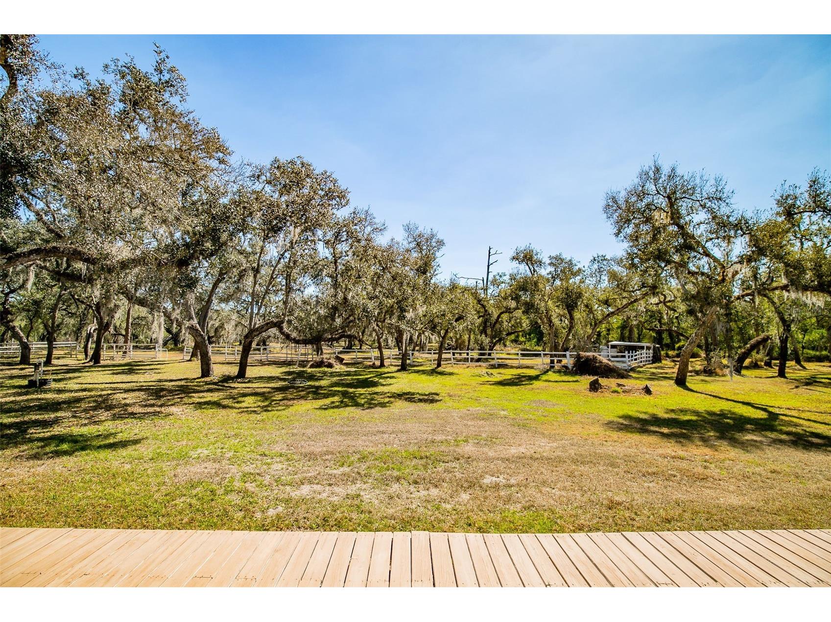 36442 Singletary Road Myakka City FL 34251 A4683696 image52