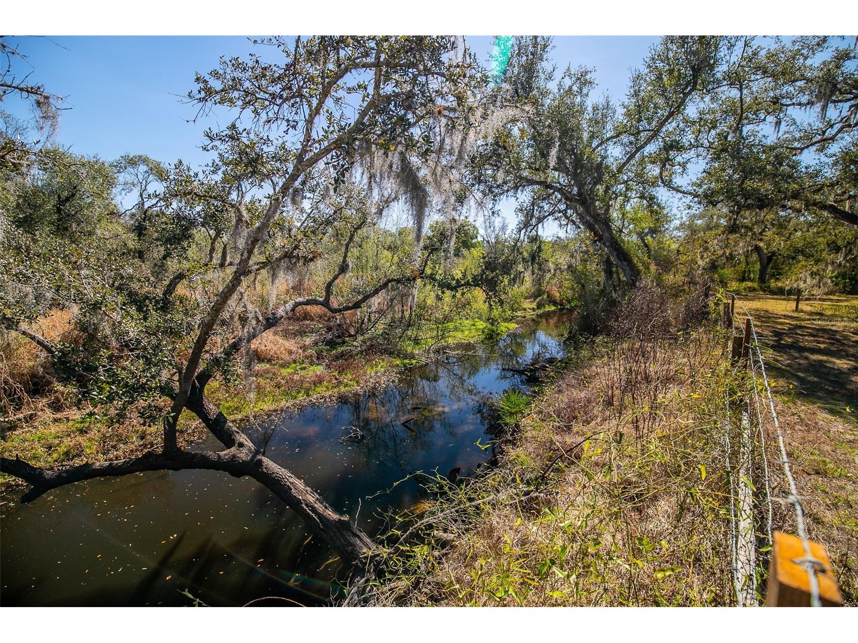 36442 Singletary Road Myakka City FL 34251 A4683696 image58