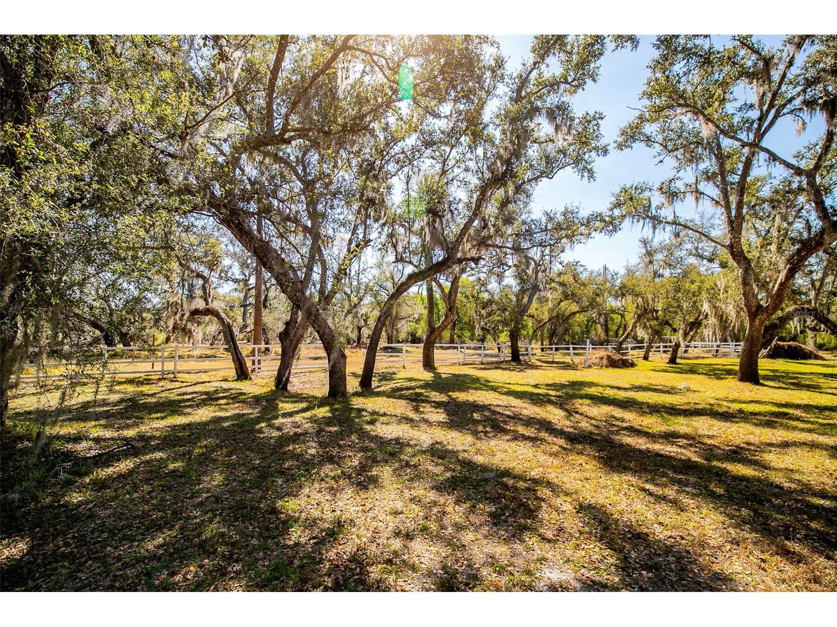36442 Singletary Road Myakka City FL 34251 A4683696 image60