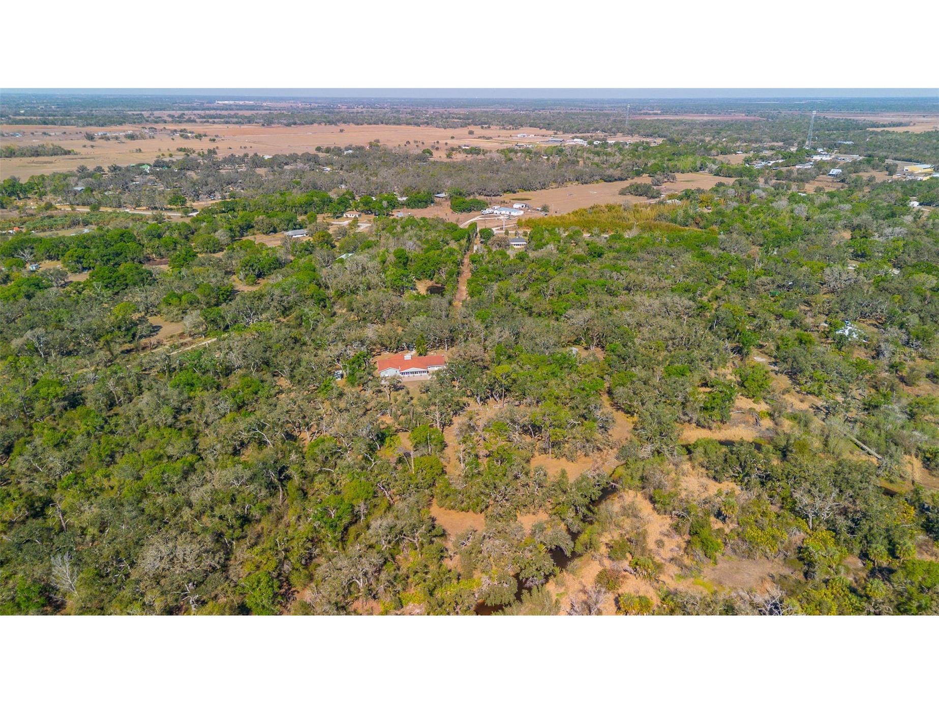 36442 Singletary Road Myakka City FL 34251 A4683696 image62