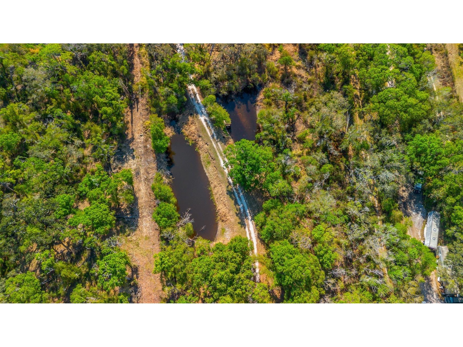 36442 Singletary Road Myakka City FL 34251 A4683696 image70