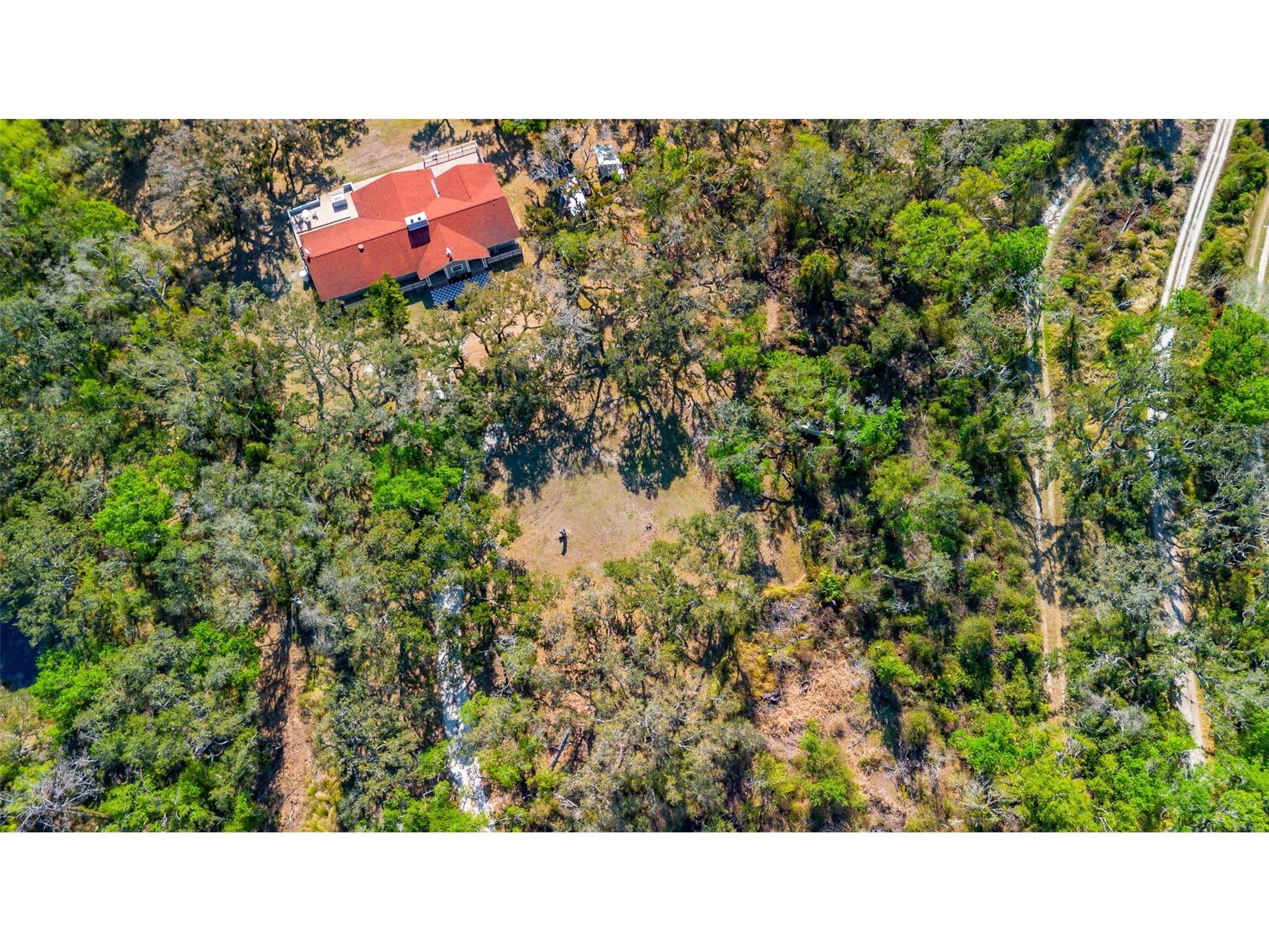 36442 Singletary Road Myakka City FL 34251 A4683696 image71