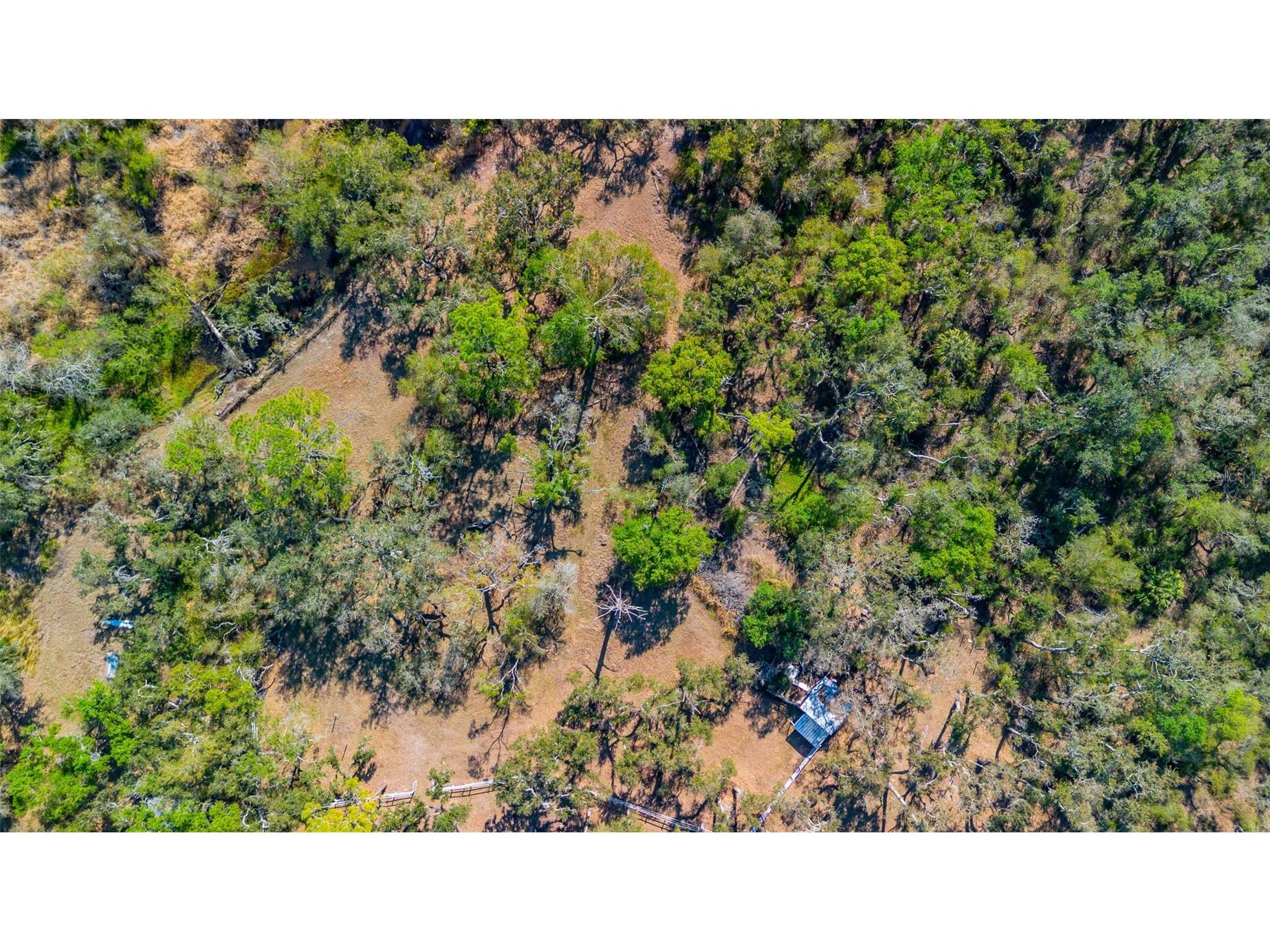 36442 Singletary Road Myakka City FL 34251 A4683696 image74
