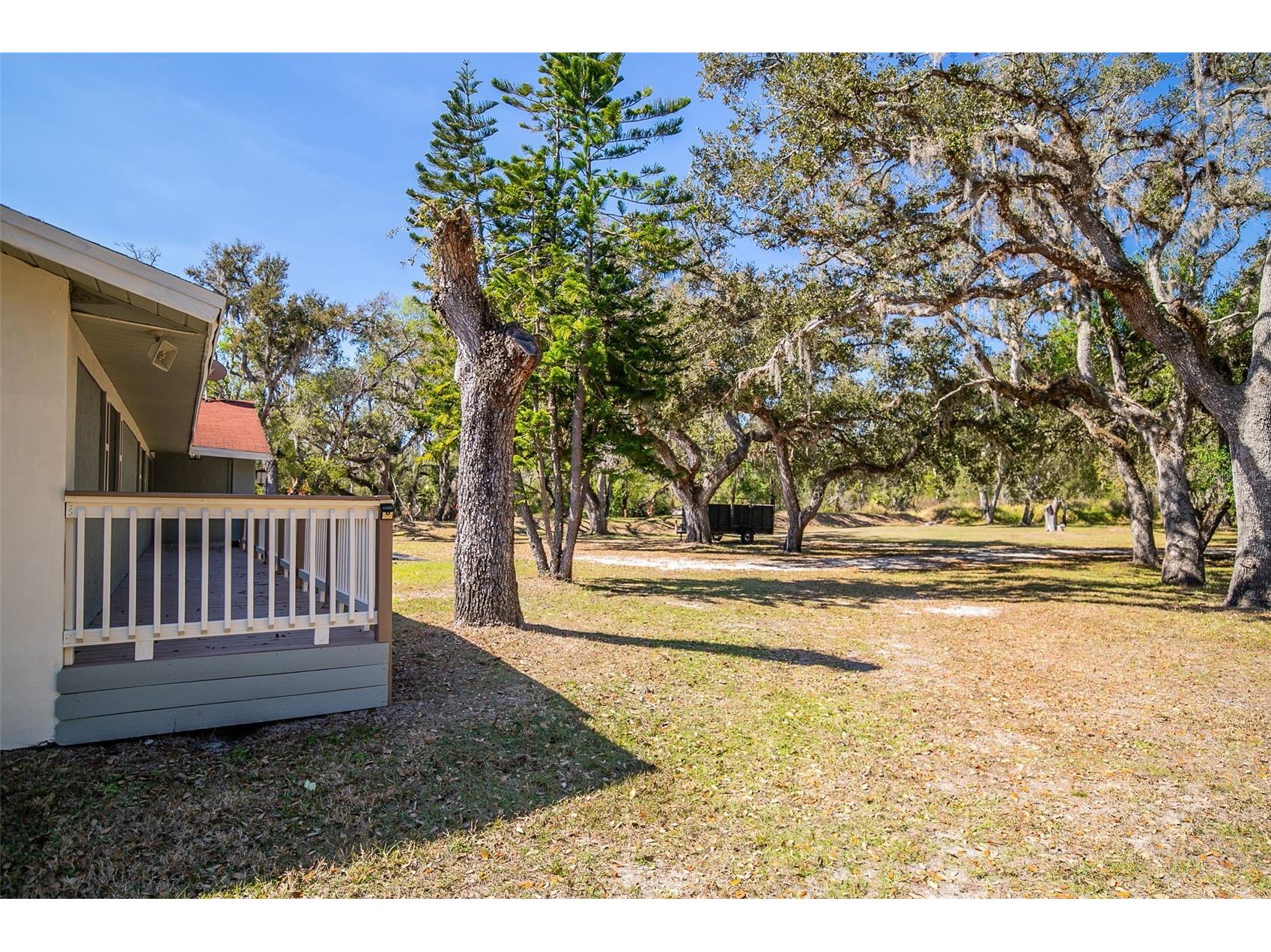 36442 Singletary Road Myakka City FL 34251 A4683696 image81