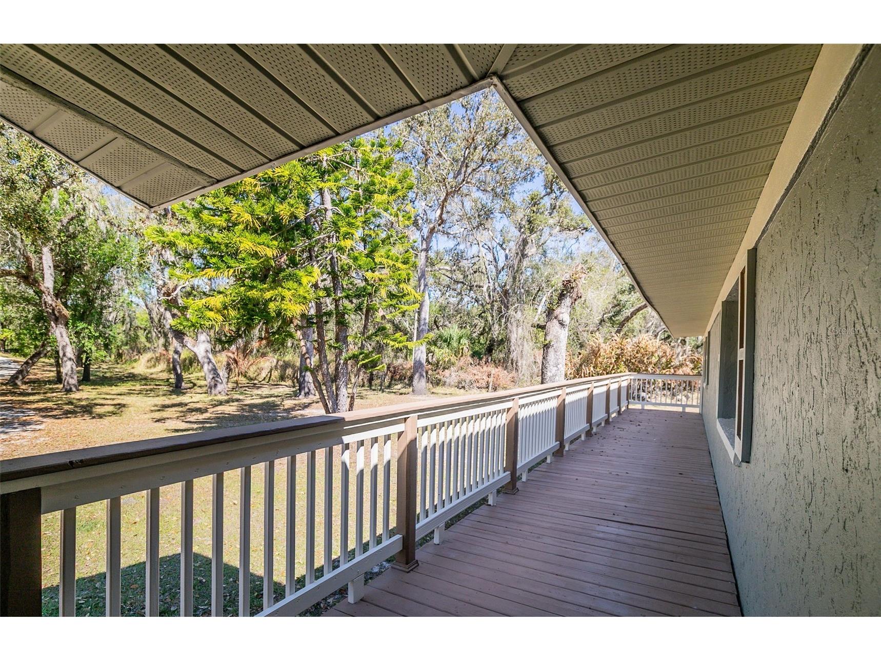 36442 Singletary Road Myakka City FL 34251 A4683696 image82