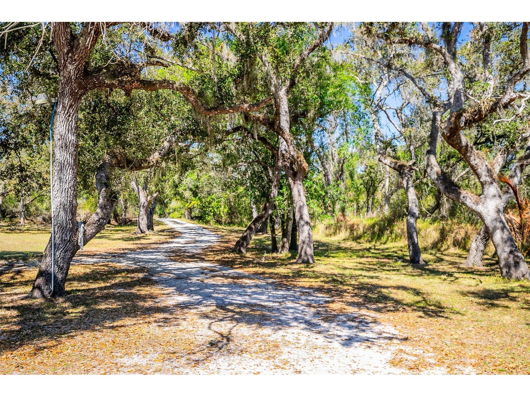 36442 Singletary Road Myakka City FL 34251 A4683696 image83