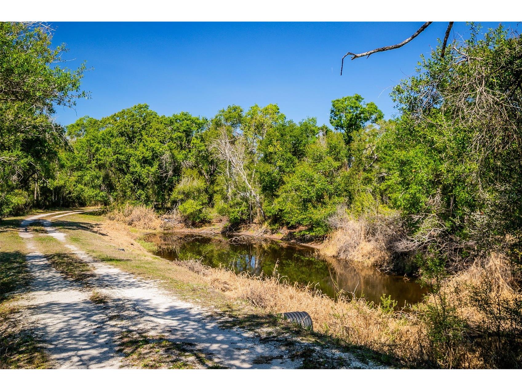 36442 Singletary Road Myakka City FL 34251 A4683696 image84