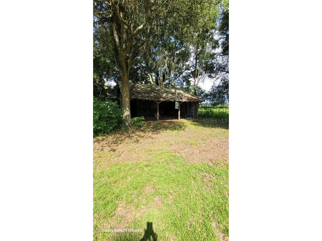 36445 Trilby Road Dade City FL 33523 TB8453055 image18