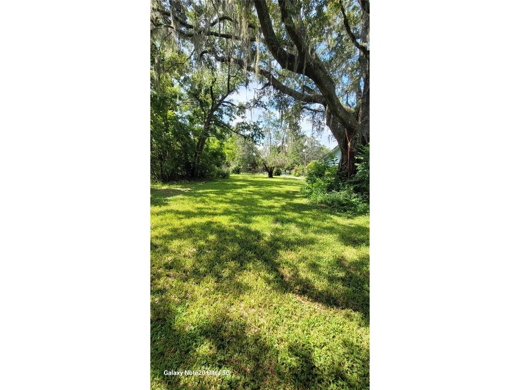 36445 Trilby Road Dade City FL 33523 TB8453055 image20