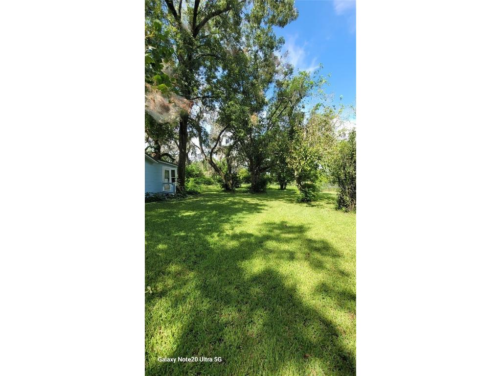 36445 Trilby Road Dade City FL 33523 TB8453055 image21