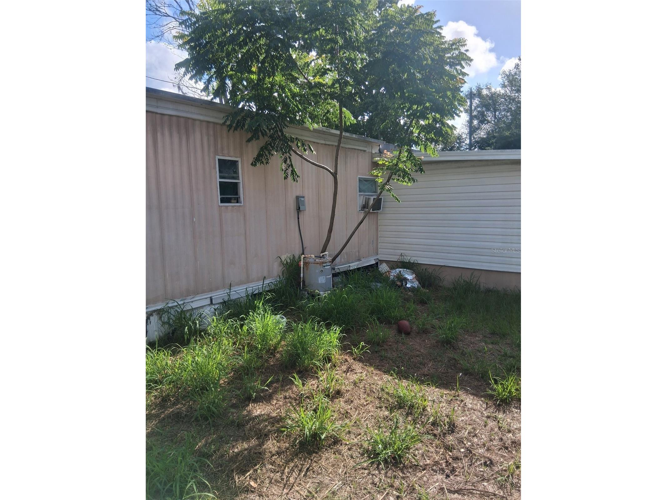 36449 West Drive Fruitland Park FL 34731 O6411969 image16