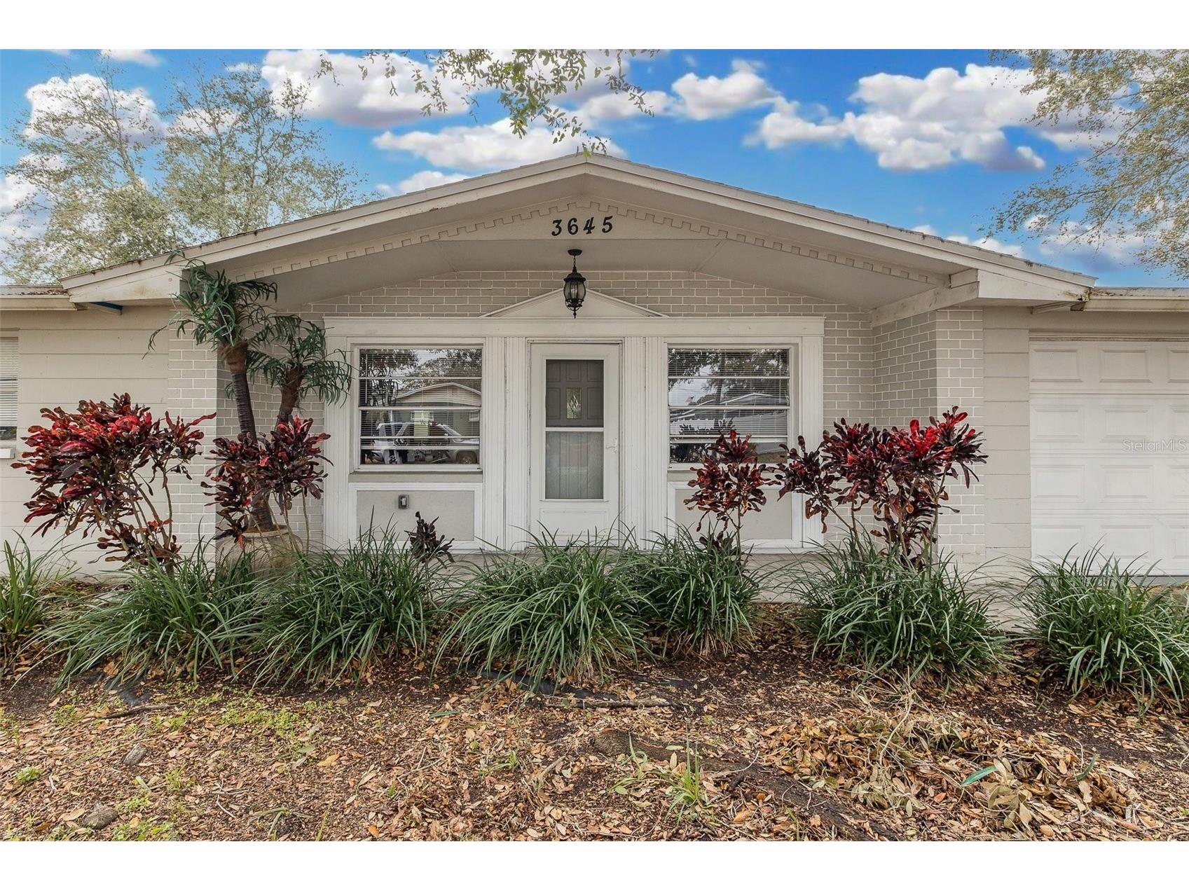 3645 Colonial Hills Drive New Port Richey FL 34652 W7882841 image5