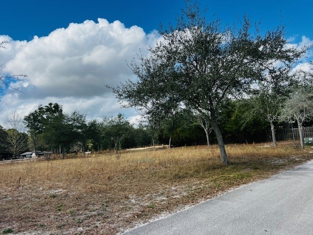 3645 Frederick Avenue Bell FL 32619 GC519099 image1