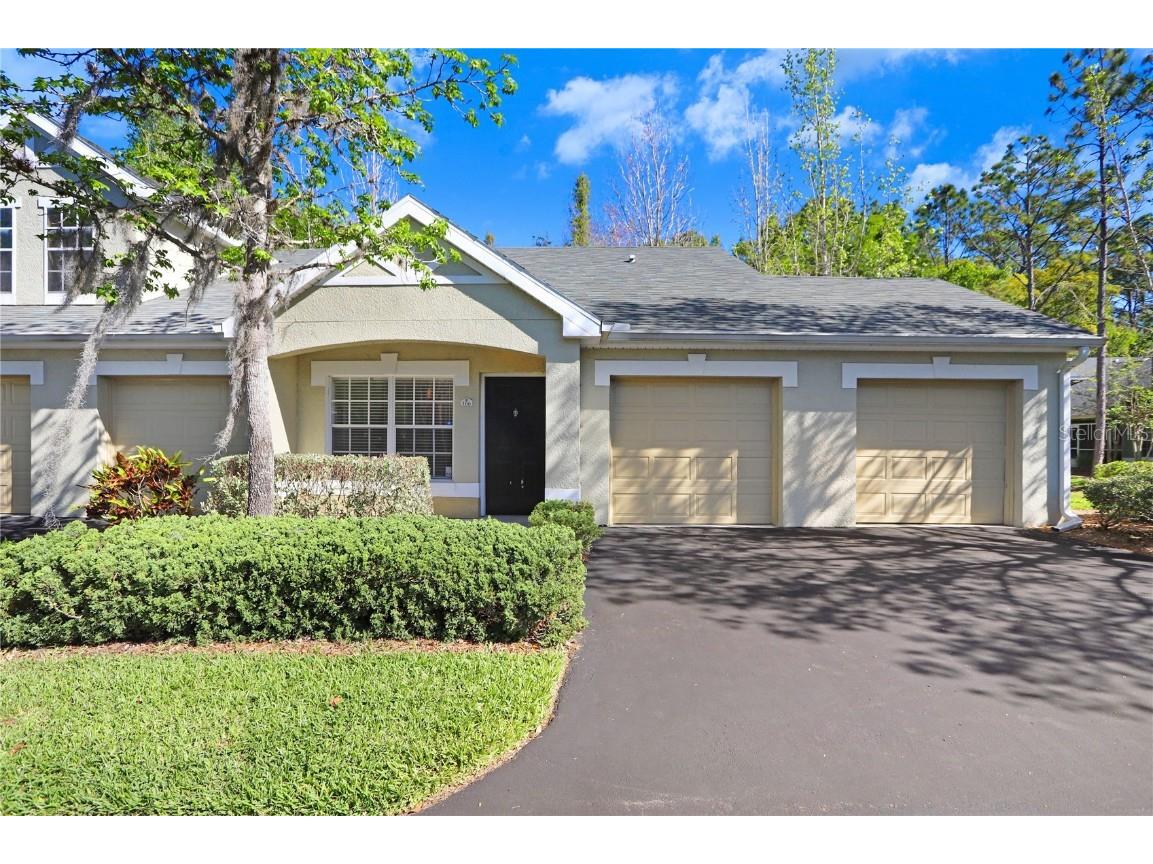 3645 Kings Road #106 Palm Harbor FL 34685 T3438190 image1