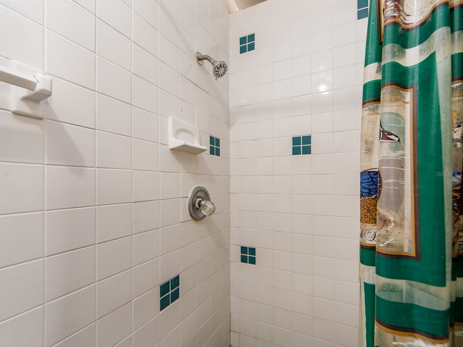 3645 Overland Holiday FL 34691 TB8516673 image27