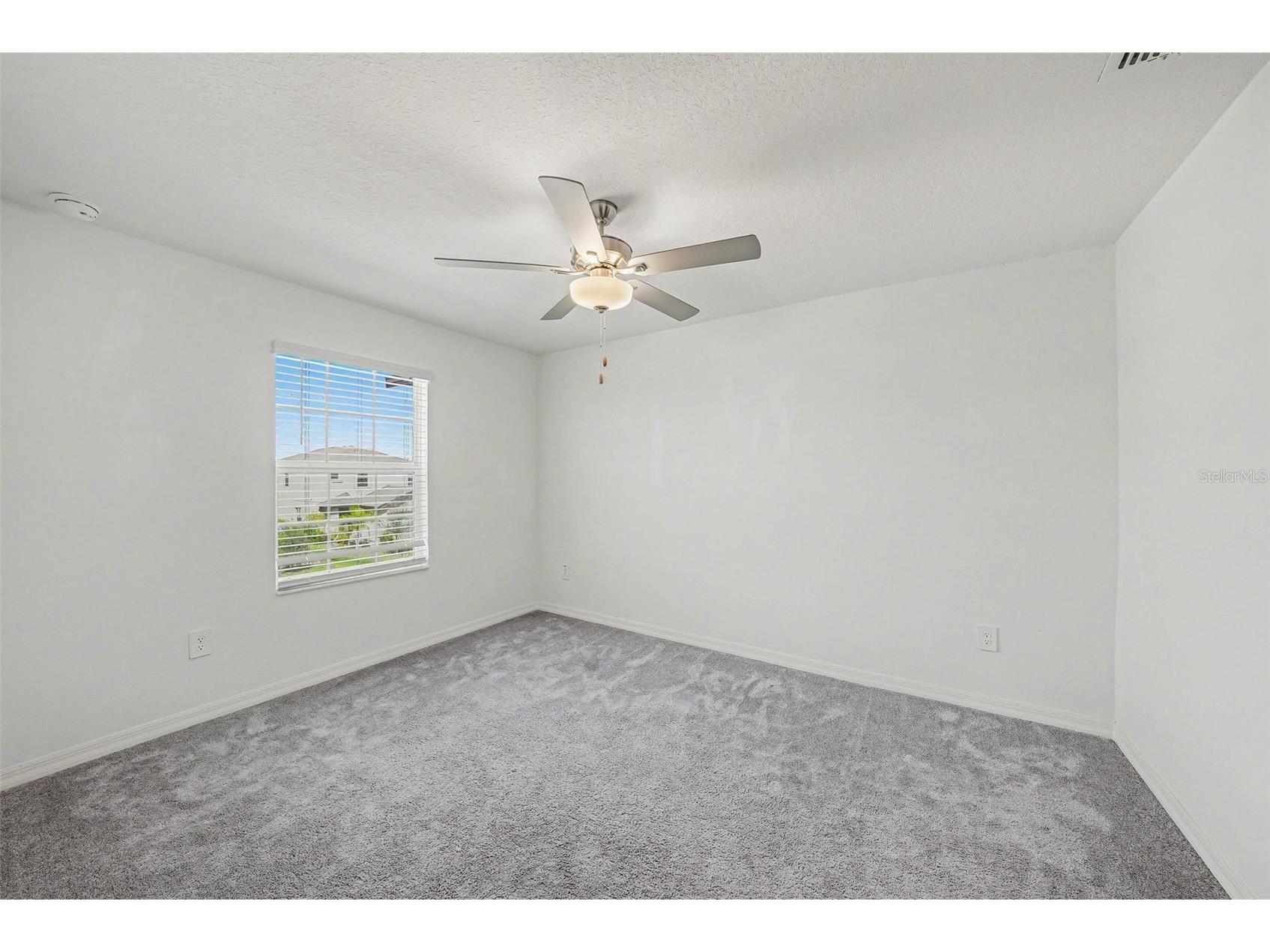 36456 Well Hill Way Zephyrhills FL 33541 TB8488332 image17