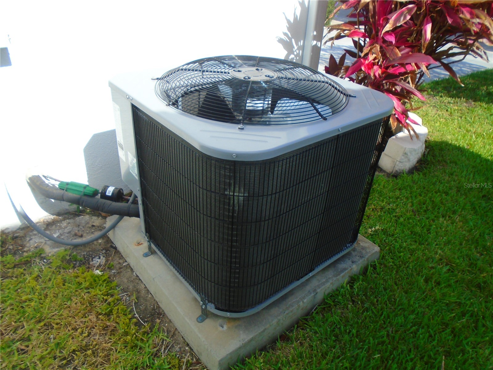 3648 91st Avenue N #6 Pinellas Park FL 33782 TB8511699 image29