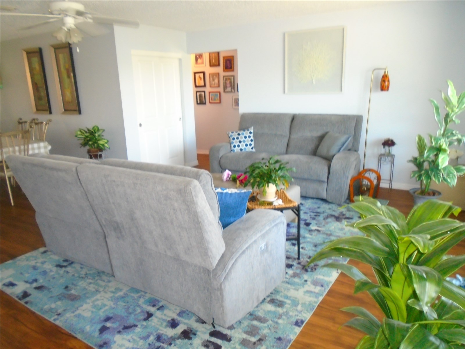 3648 91st Avenue N #6 Pinellas Park FL 33782 TB8511699 image3