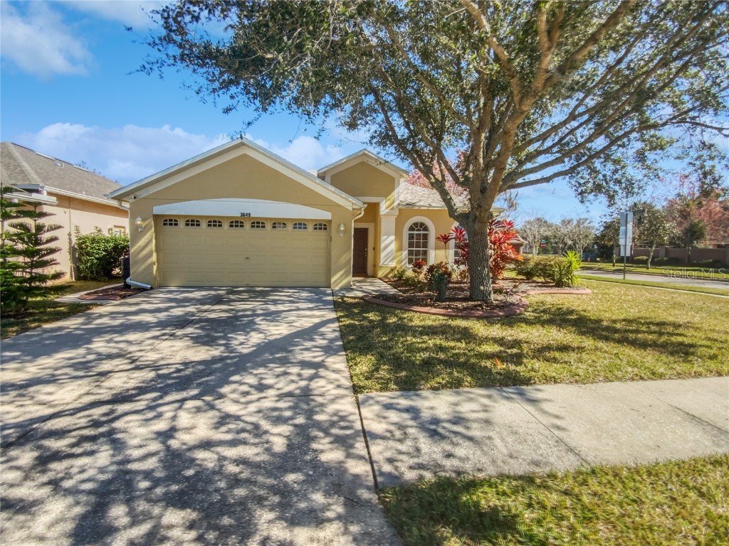 3648 Olde Lanark Drive Land O Lakes FL 34638 O6177464 image1