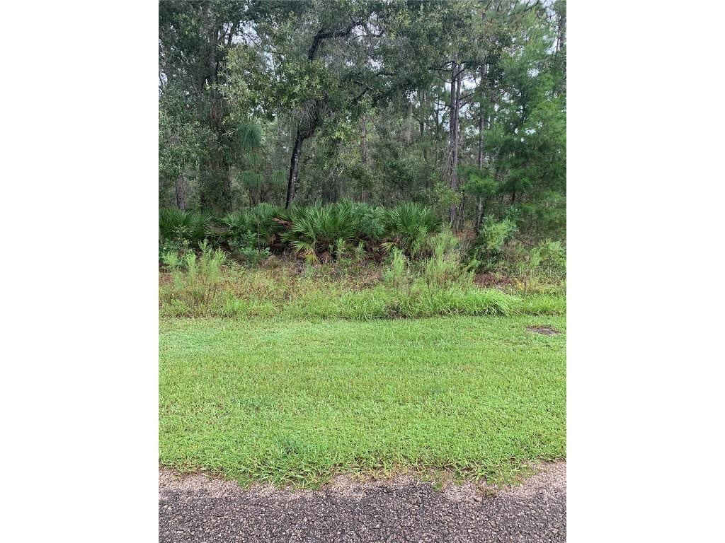 3648 W Norwick Place Citrus Springs FL 34433 O6146495 image1