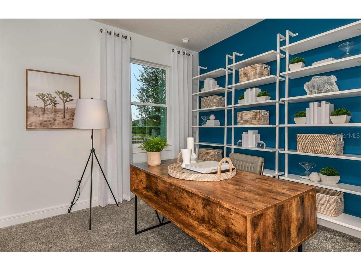 36485 Sespe Creek Court Zephyrhills FL 33540 TB8387074 image10