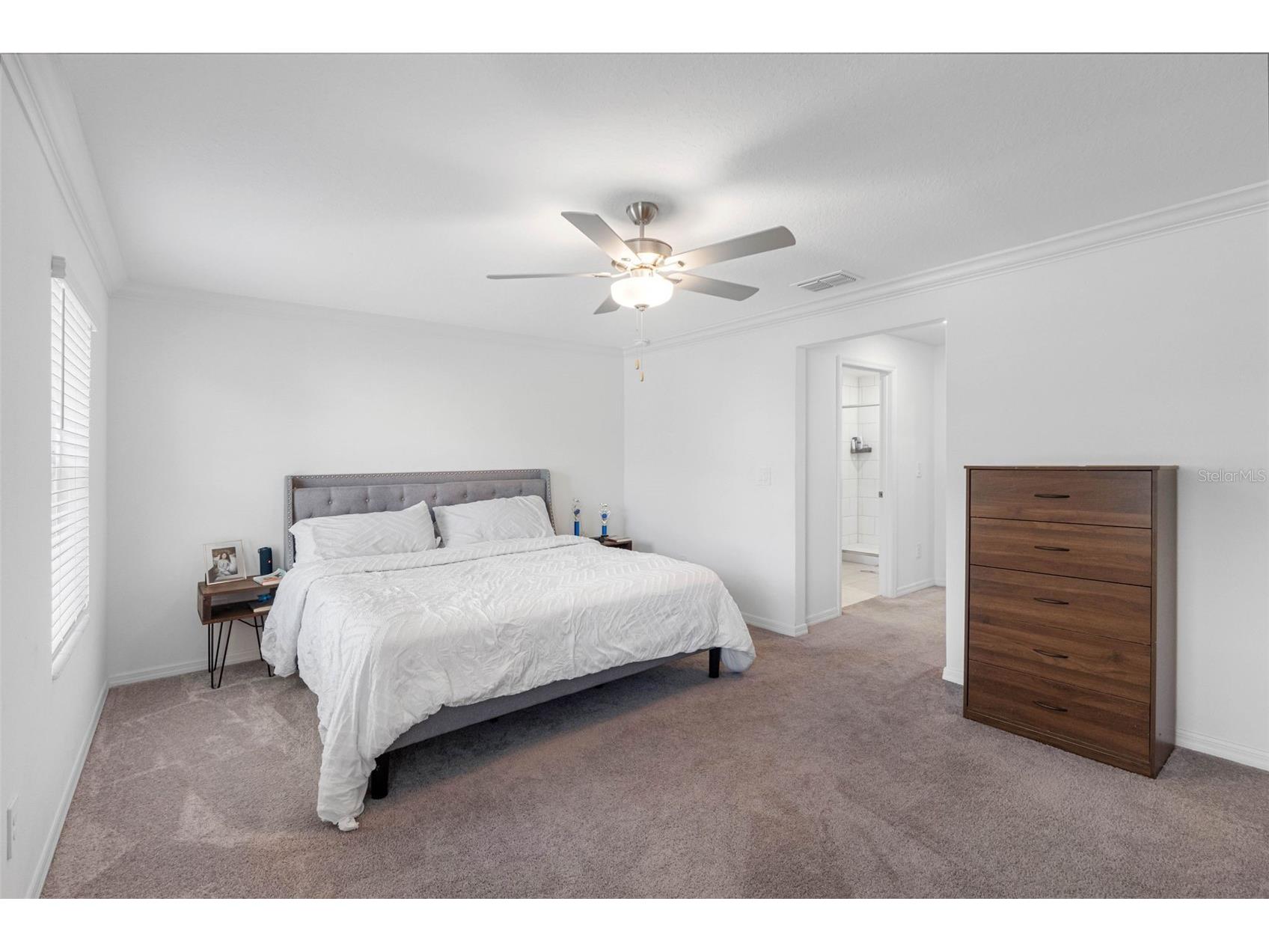 36488 Well Hill Way Zephyrhills FL 33541 TB8498678 image35