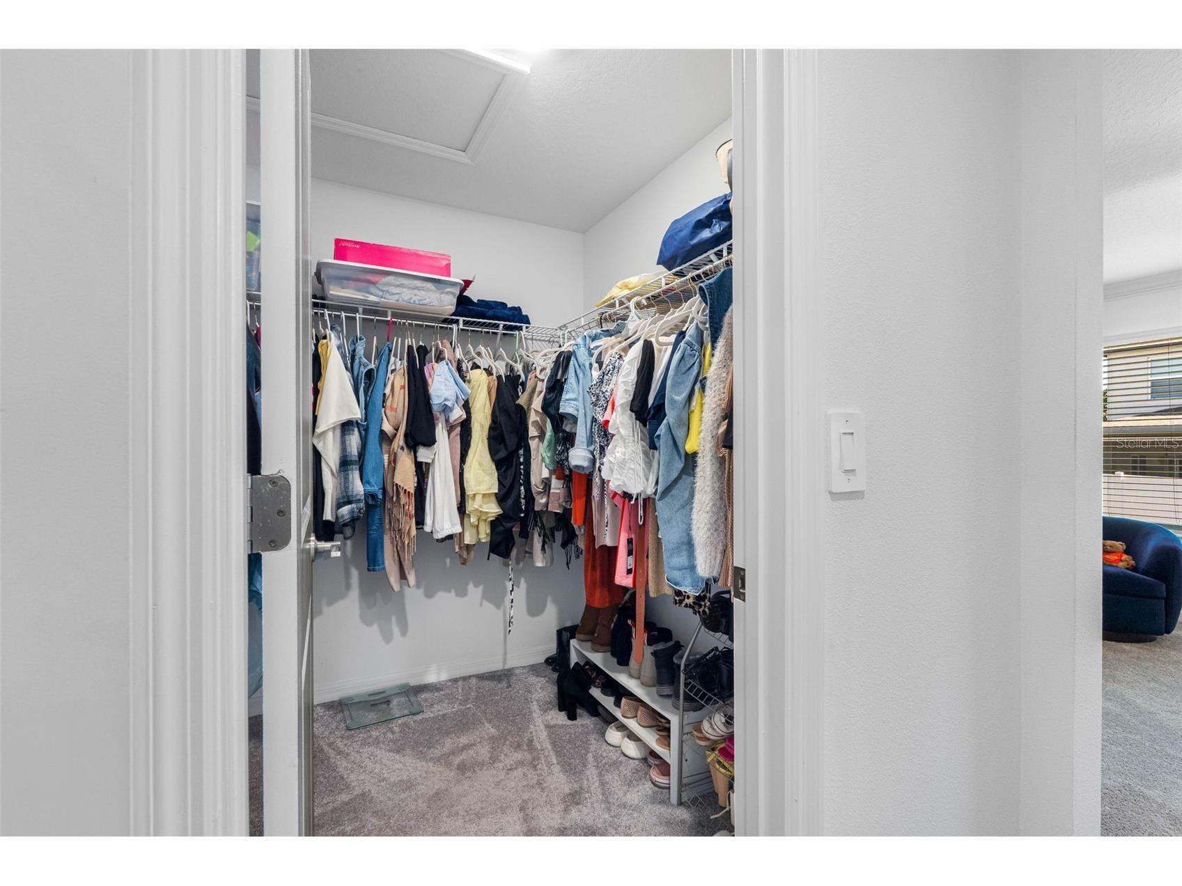 36488 Well Hill Way Zephyrhills FL 33541 TB8498678 image38