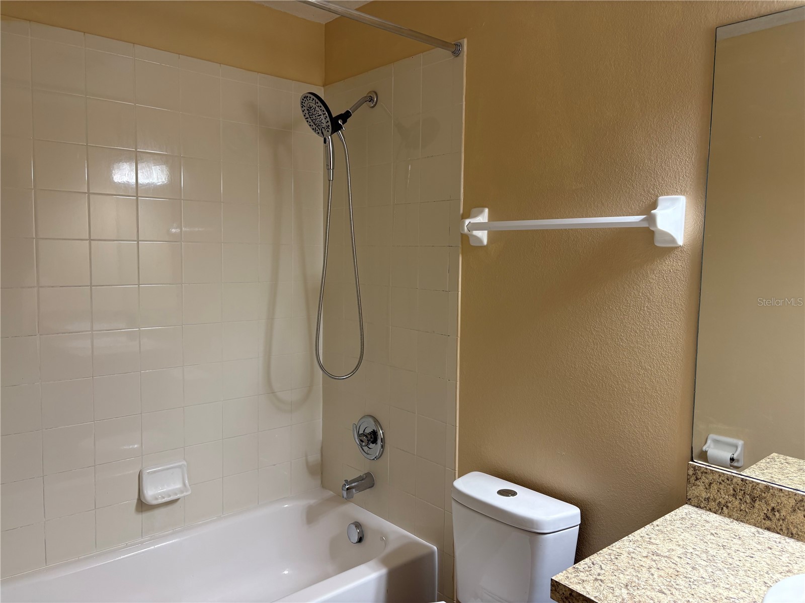 3649 Grubbs Street Mount Dora FL 32757 O6392918 image29
