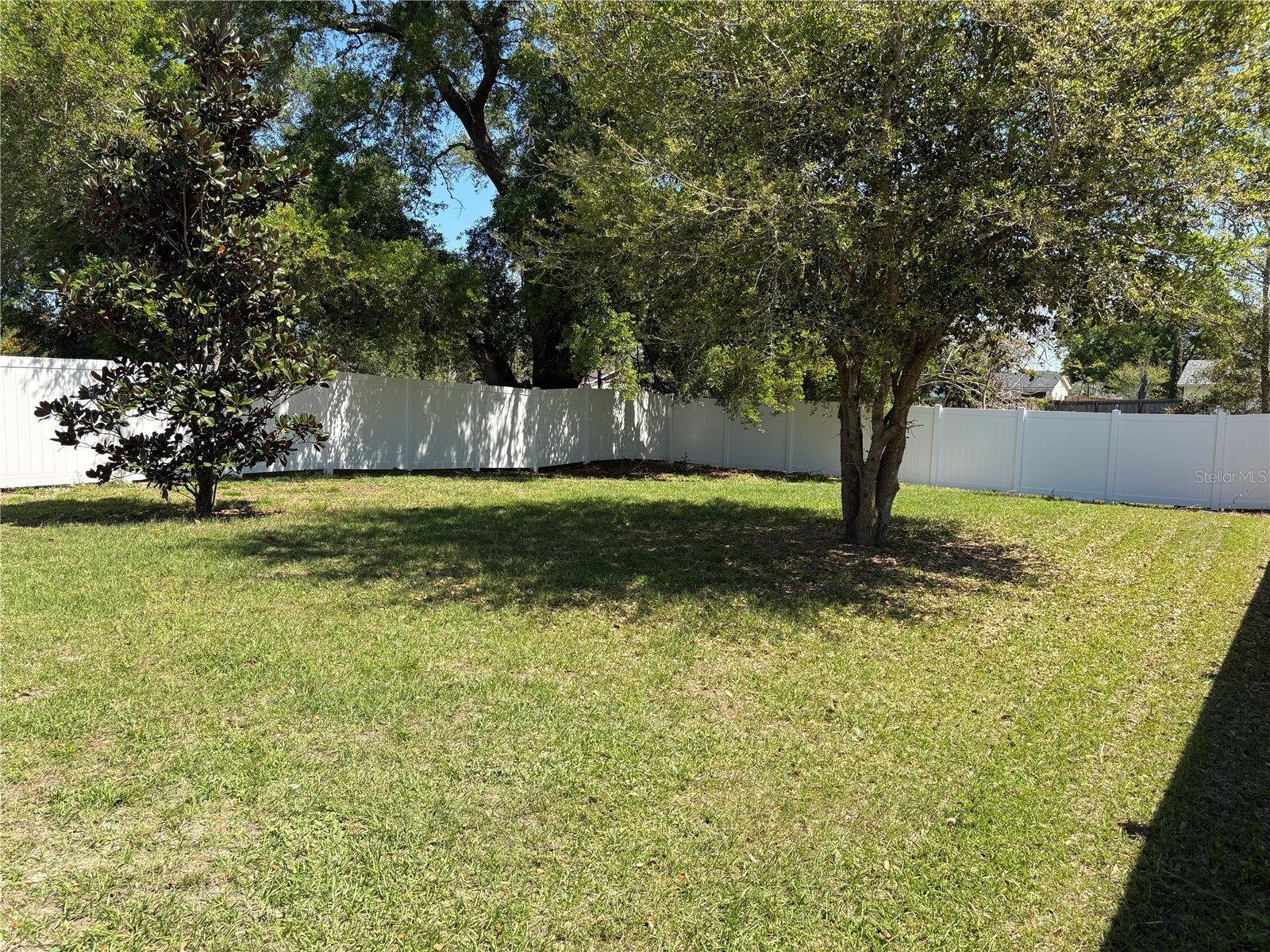 3649 Grubbs Street Mount Dora FL 32757 O6392918 image9