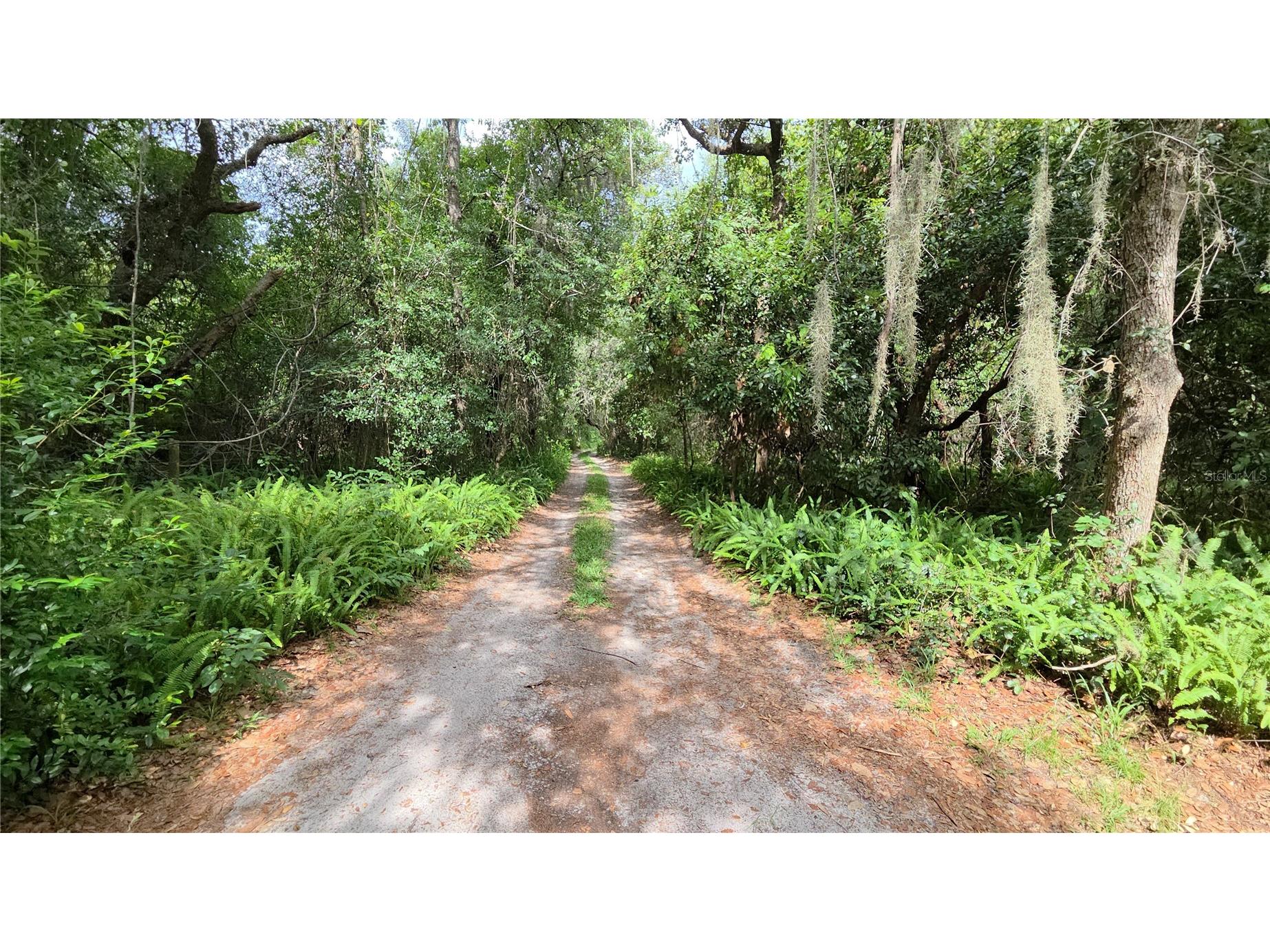 365 80 Foot Road #4 Bartow FL 33830 TB8527023 image22