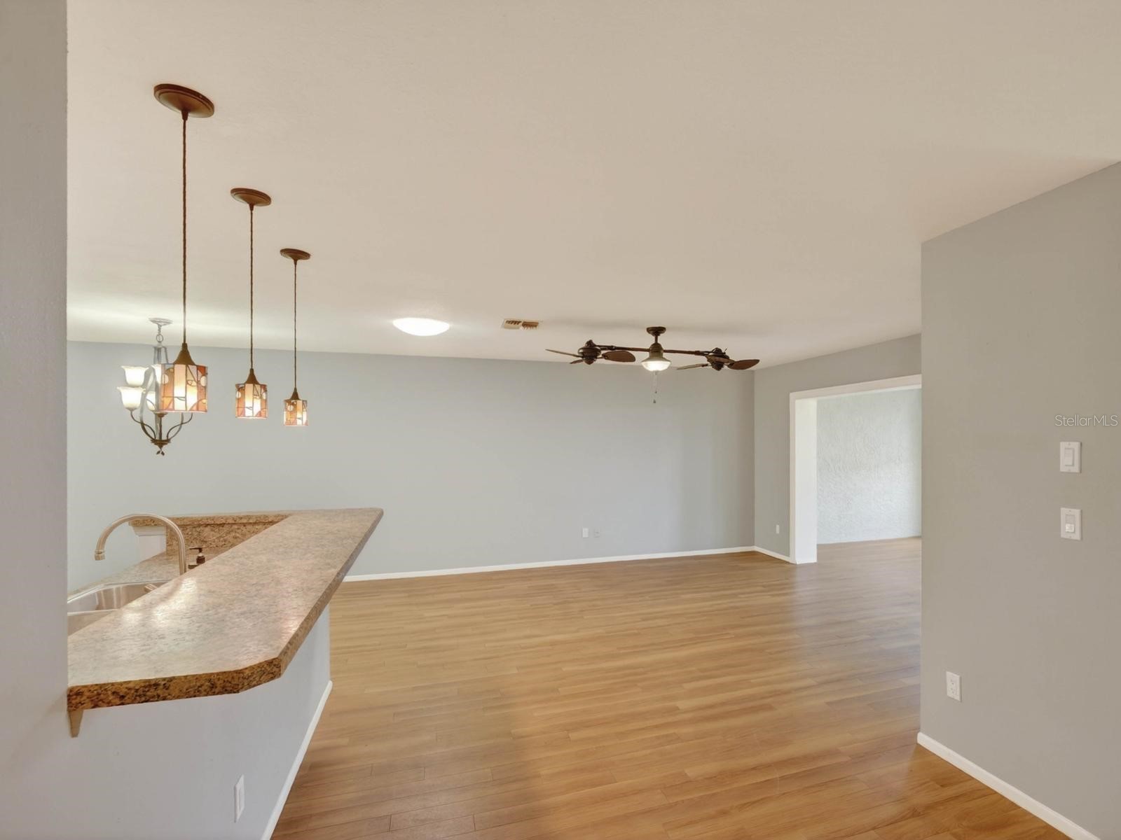 365 Durham Court Dunedin FL 34698 TB8472325 image30
