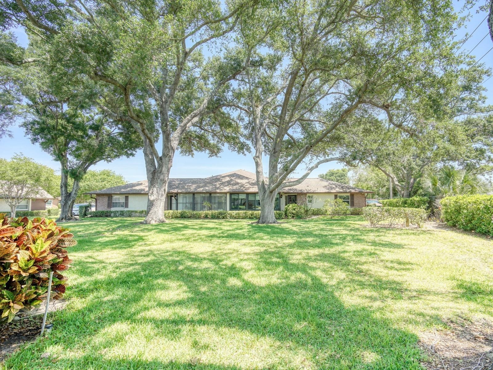 365 Durham Court Dunedin FL 34698 TB8472325 image34