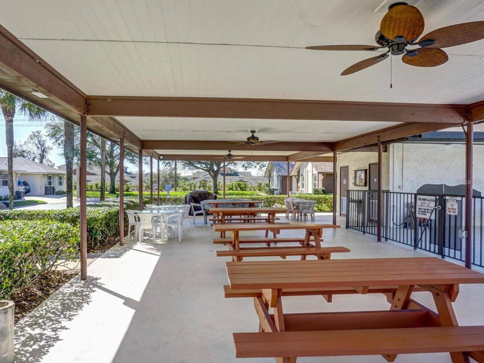 365 Durham Court Dunedin FL 34698 TB8472325 image38