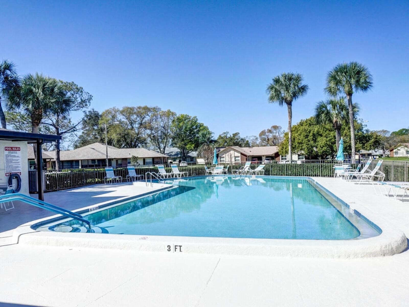 365 Durham Court Dunedin FL 34698 TB8472325 image39