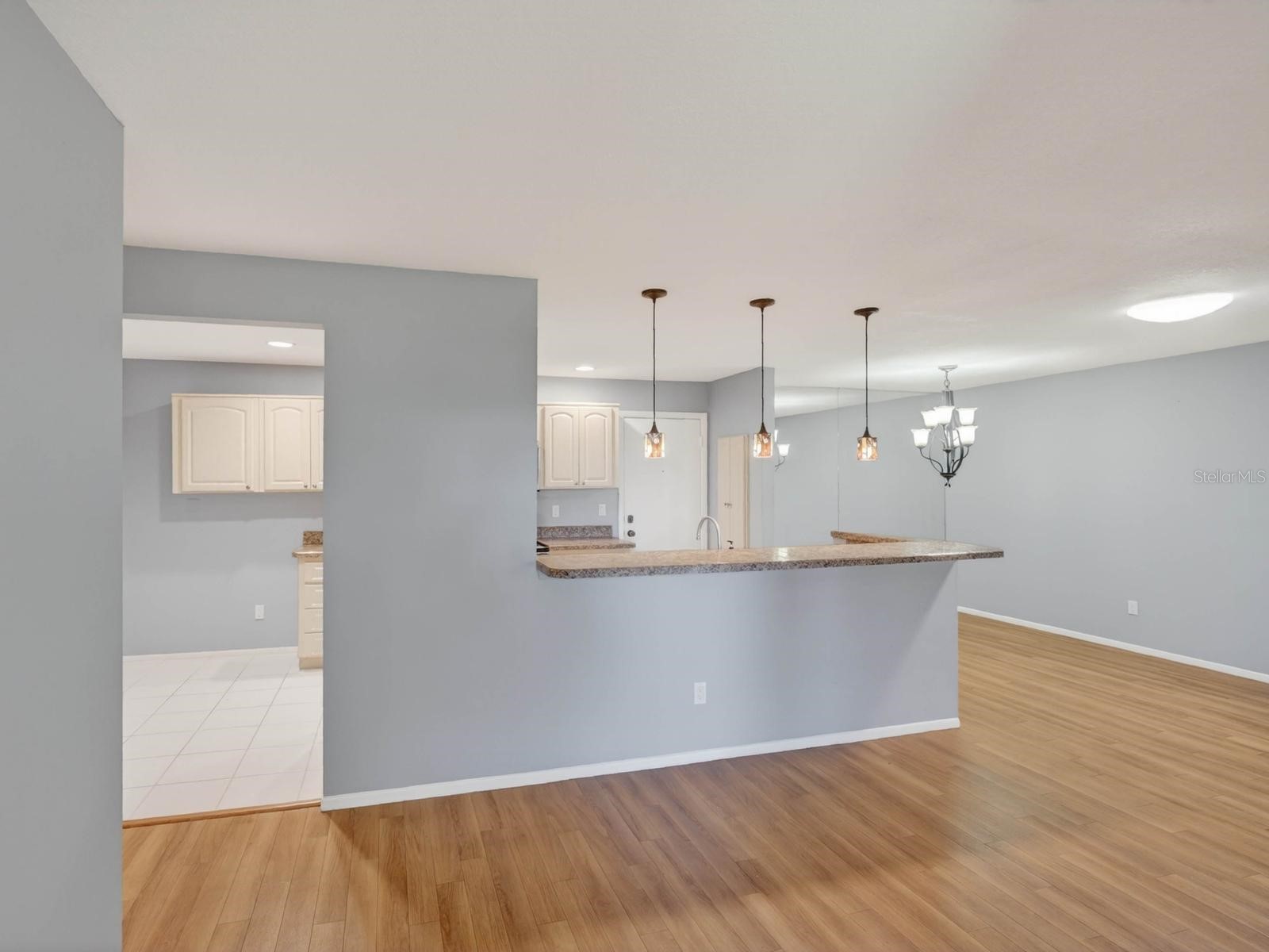 365 Durham Court Dunedin FL 34698 TB8472325 image4