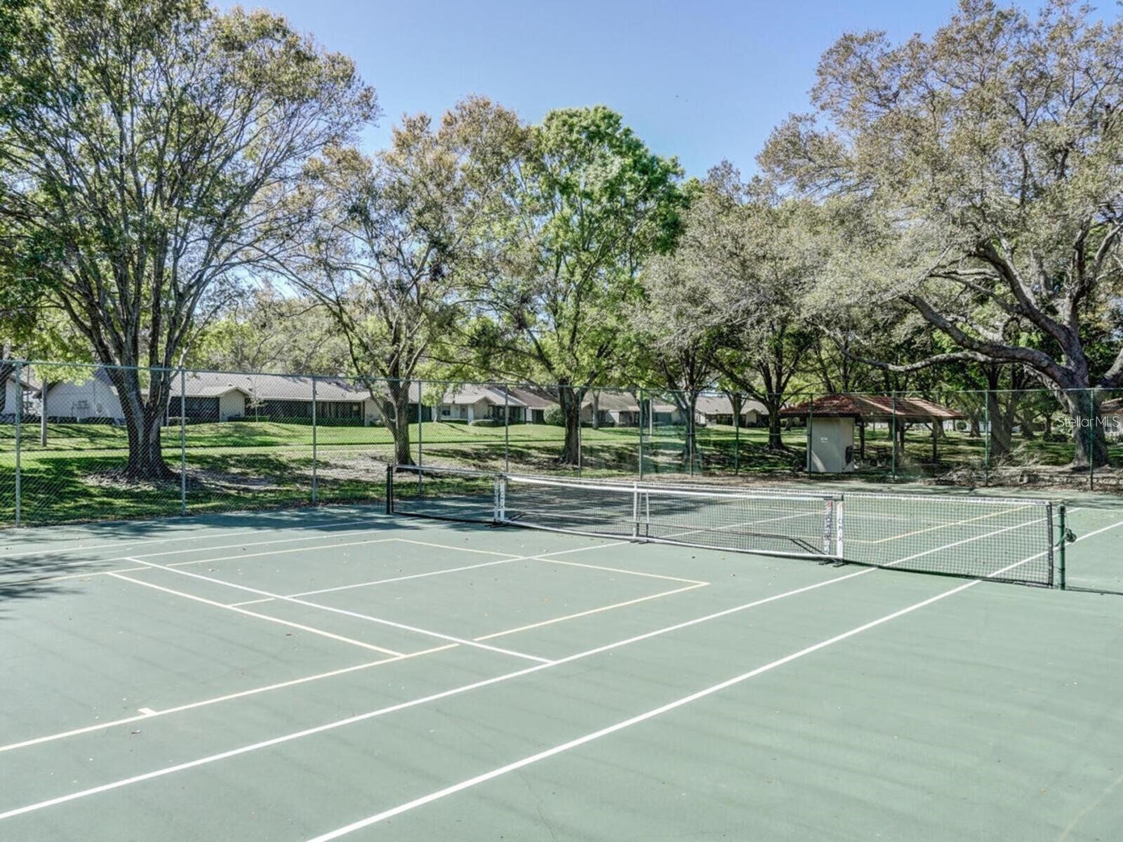 365 Durham Court Dunedin FL 34698 TB8472325 image41