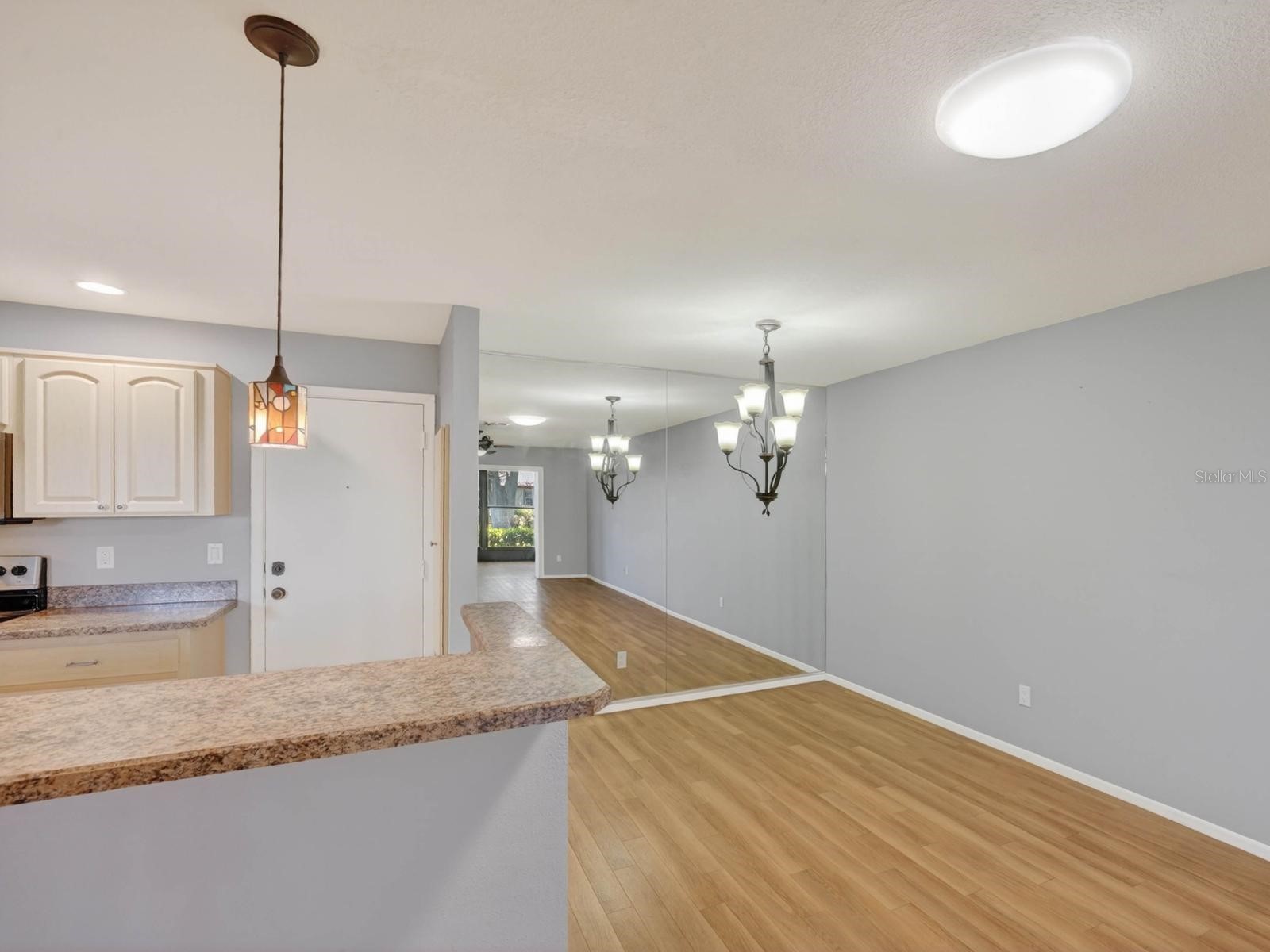 365 Durham Court Dunedin FL 34698 TB8472325 image7
