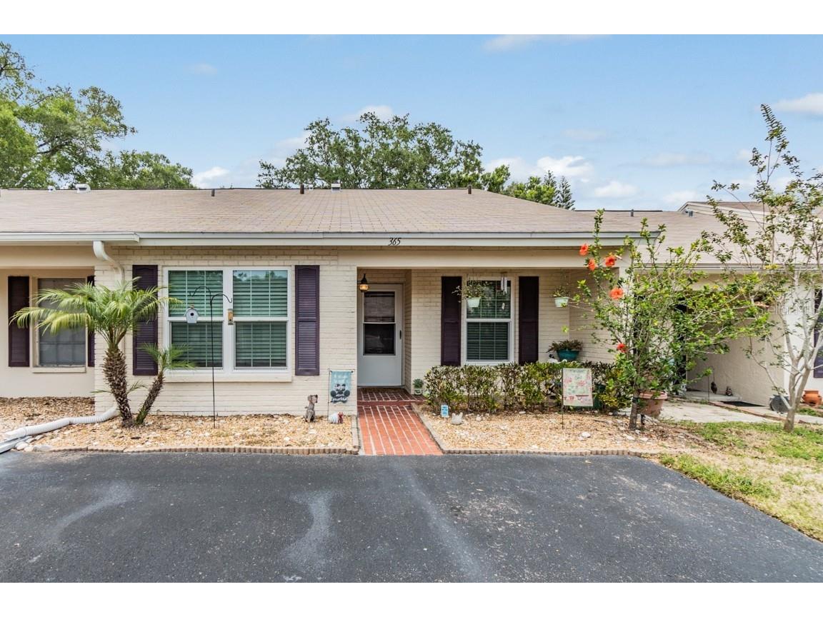 365 Gloucester Street Safety Harbor FL 34695 U8200294 image1