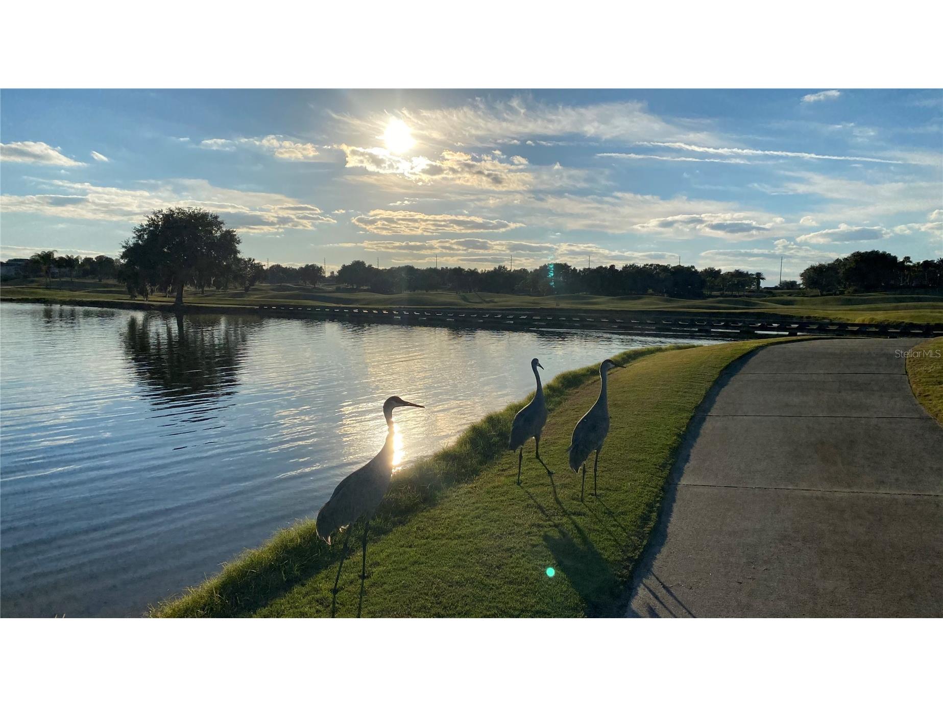 365 Muirfield Loop Reunion FL 34747 S5141650 image10