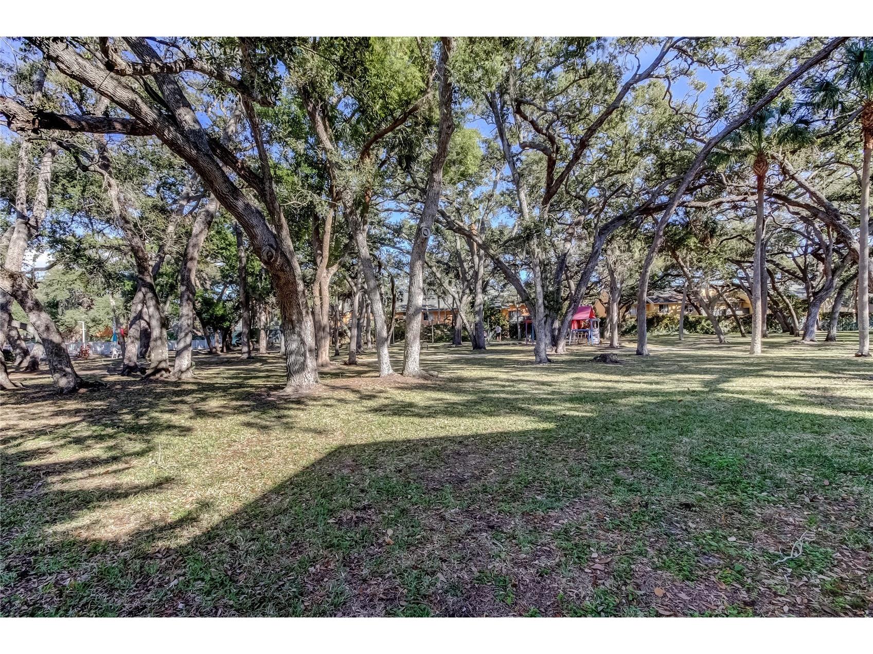 3650 41st Way S #A Saint Petersburg FL 33711 - BOCA CEIGA BAY TB8466599 image31