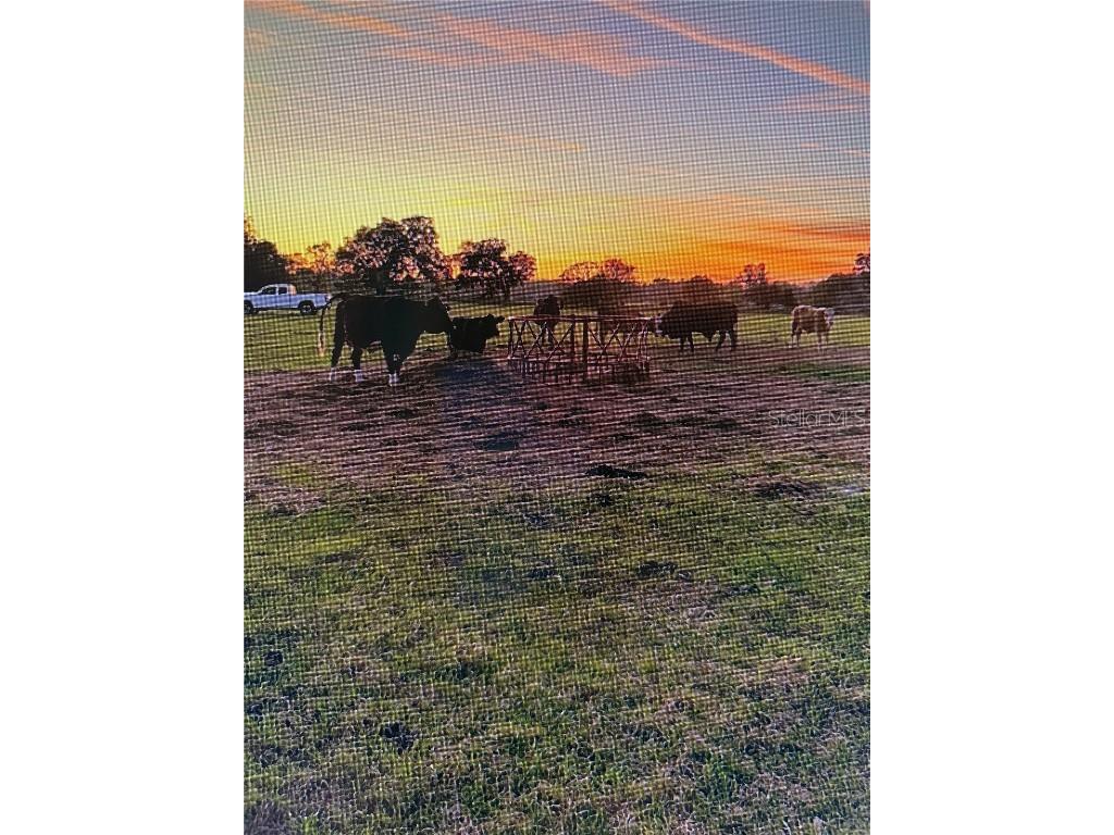 3650 95th Street Anthony FL 32617 O6296811 image1