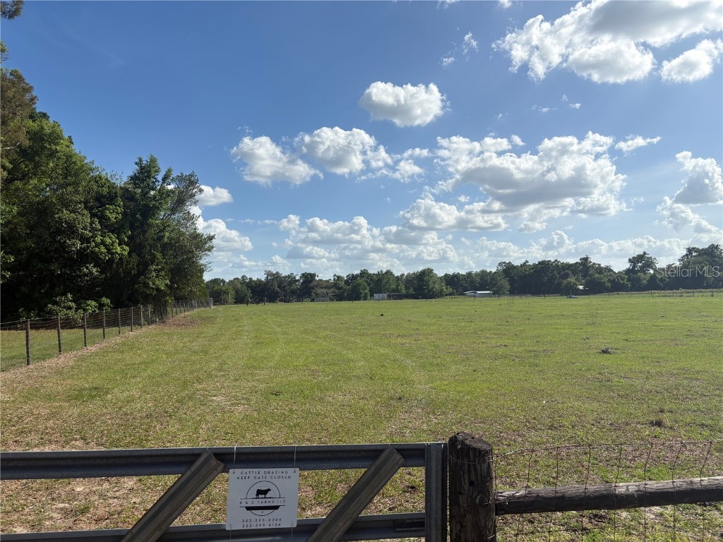 3650 95th Street Anthony FL 32617 O6296811 image4