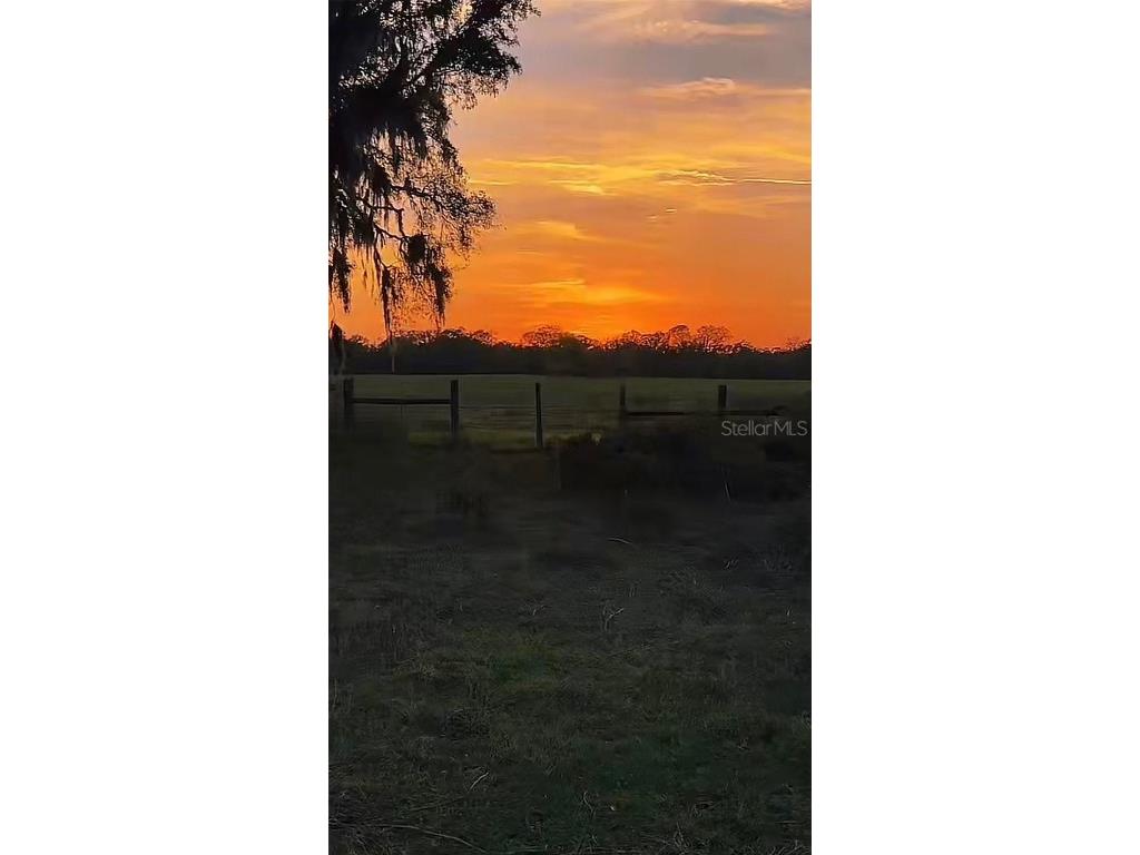 3650 95th Street Anthony FL 32617 O6296811 image7