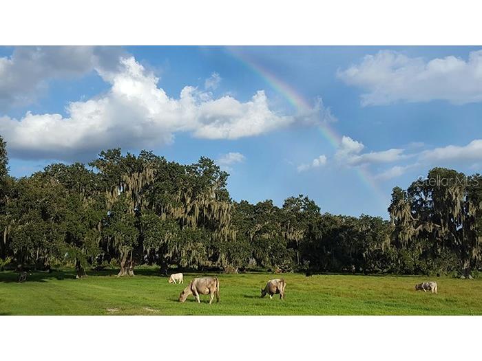 3650 Lake Tohopekaliga Road Saint Cloud FL 34772 O6299268 image20