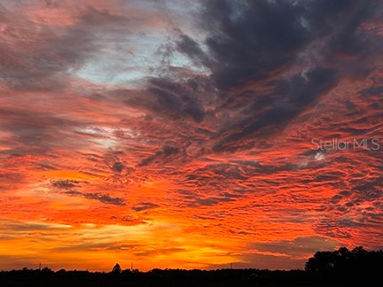 3650 Lake Tohopekaliga Road Saint Cloud FL 34772 O6299268 image25