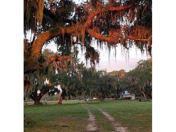 3650 Lake Tohopekaliga Road Saint Cloud FL 34772 O6299268 image29