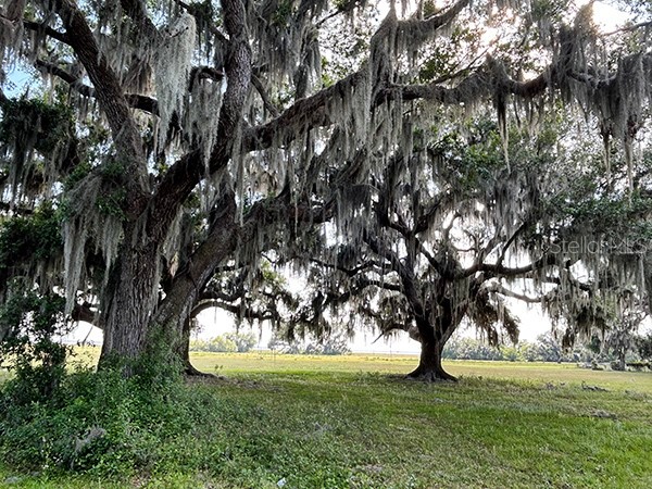 3650 Lake Tohopekaliga Road Saint Cloud FL 34772 O6299268 image32