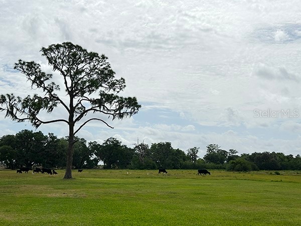 3650 Lake Tohopekaliga Road Saint Cloud FL 34772 O6299268 image54