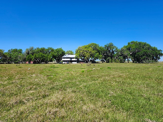 3650 Lake Tohopekaliga Road Saint Cloud FL 34772 O6299268 image6