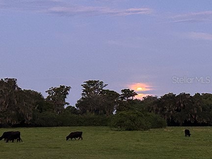 3650 Lake Tohopekaliga Road Saint Cloud FL 34772 - LAKE TOHOPEKALIGA O6300429 image9